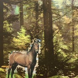 LABO DE LUX : Als een paard in het bos (Puzzelkunst)